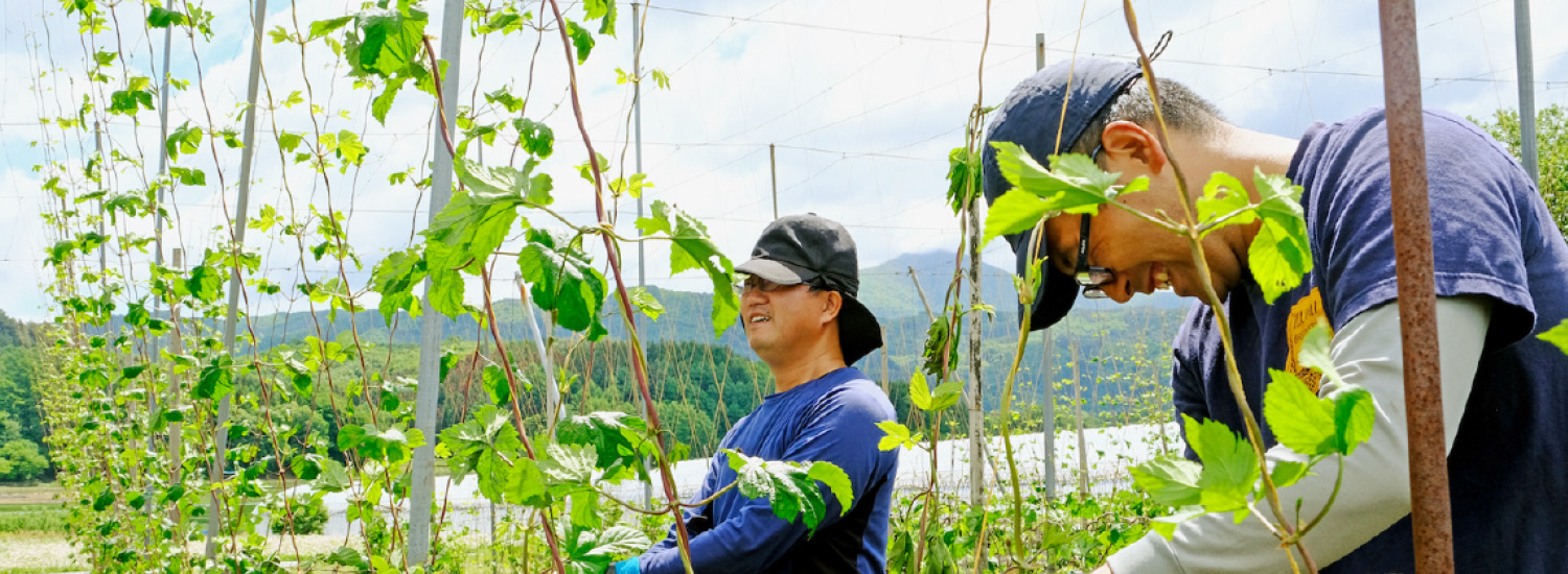 遠野市地域おこし協力隊募集！