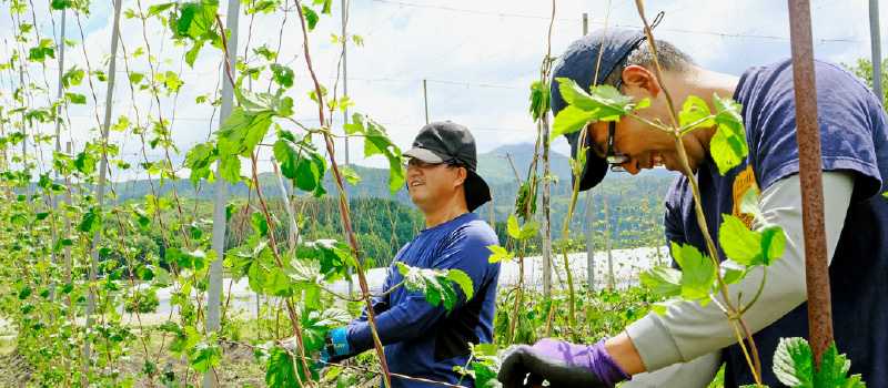 遠野市地域おこし協力隊募集！