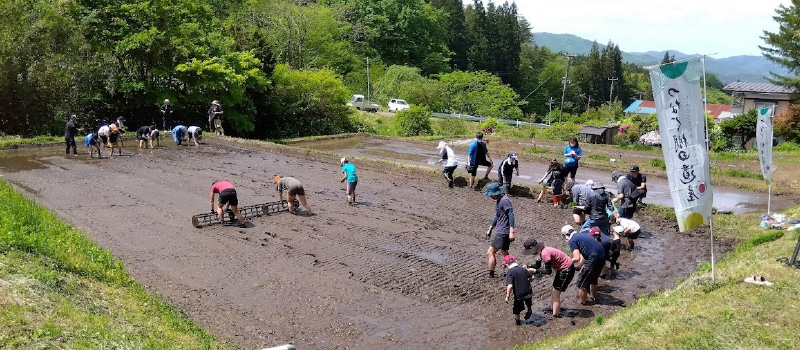 遠野市地域おこし協力隊募集！
