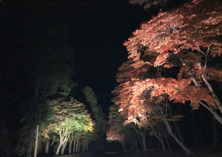 遠野郷八幡宮　紅葉ライトアップ