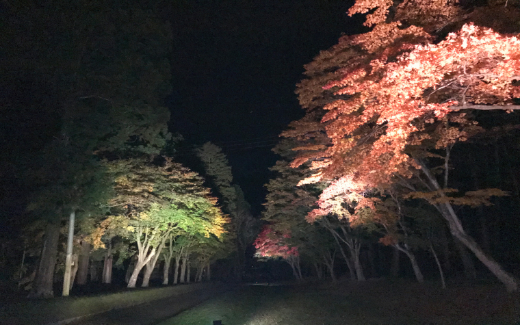 遠野郷八幡宮