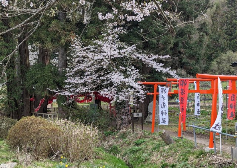 卯子酉神社　例祭