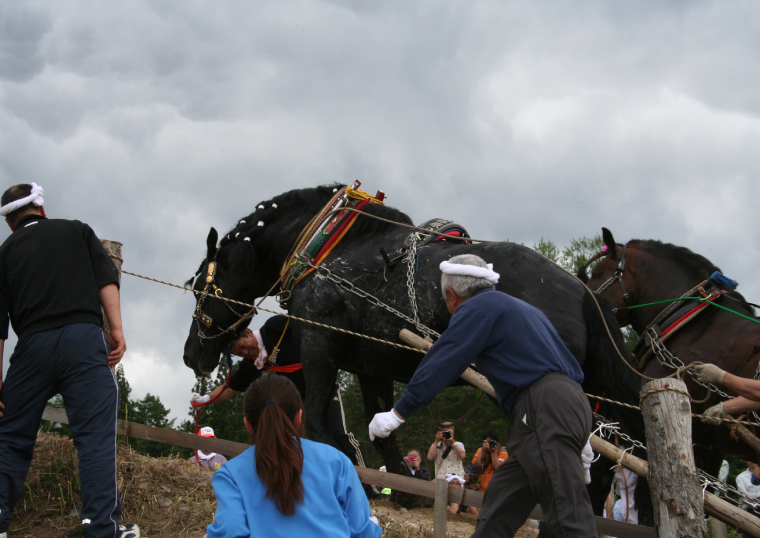 第47回 東北馬力大会 馬の里 遠野大会