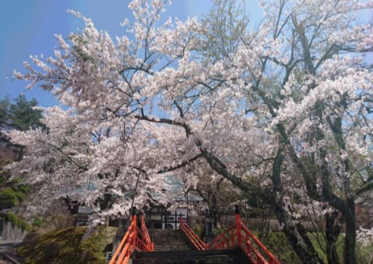 福泉寺　花まつり