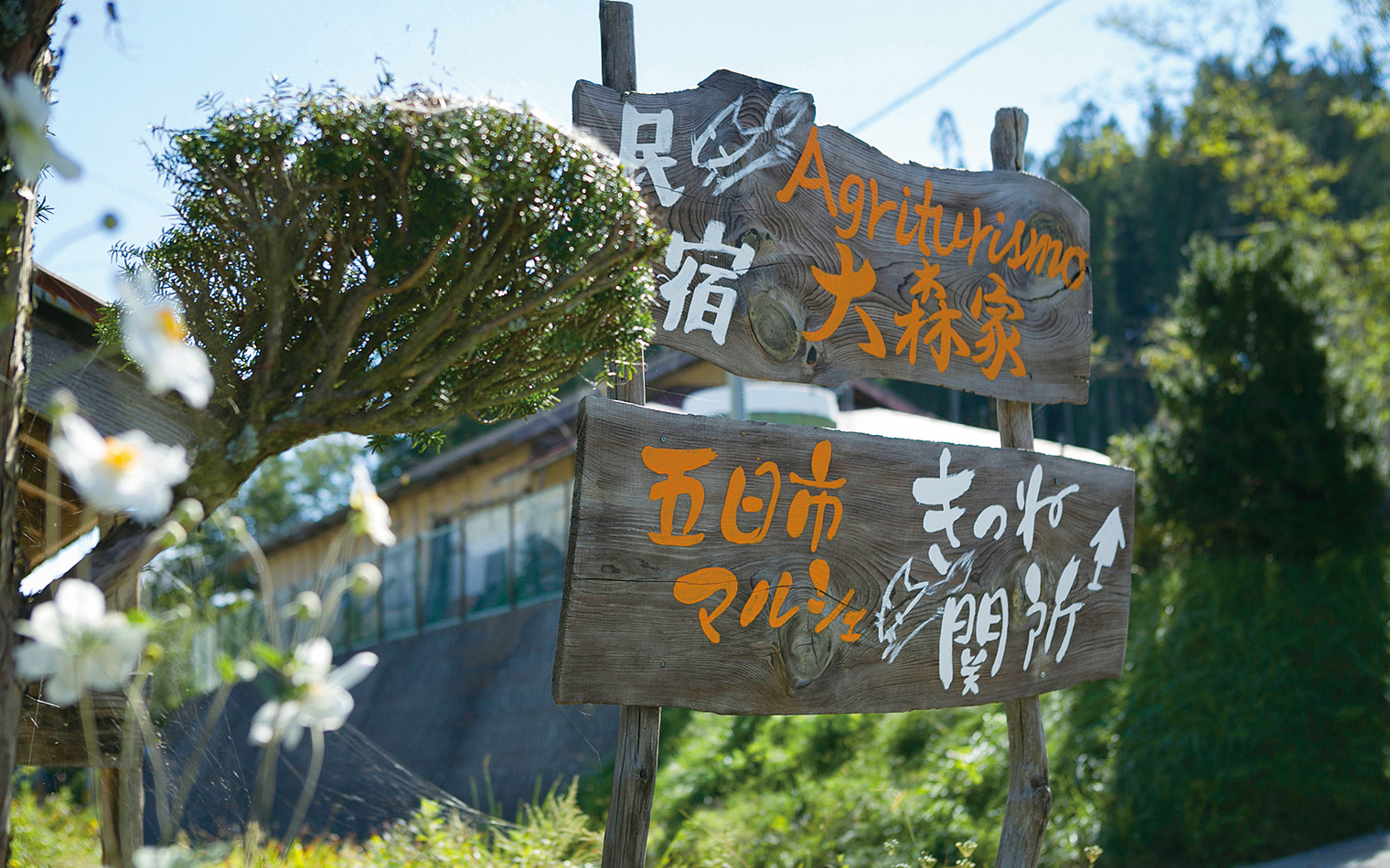 Agriturismo 大森家