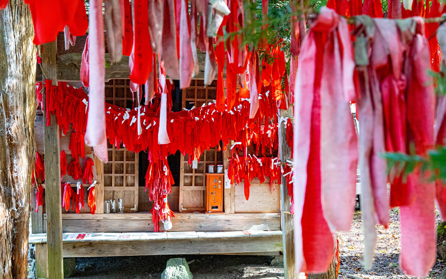 卯子酉神社