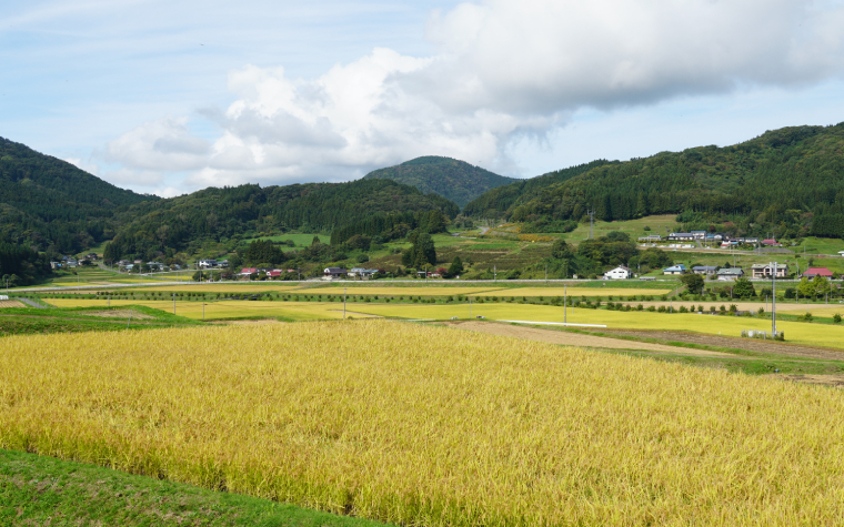 宮守の棚田（正式名称　旧宮守棚田）