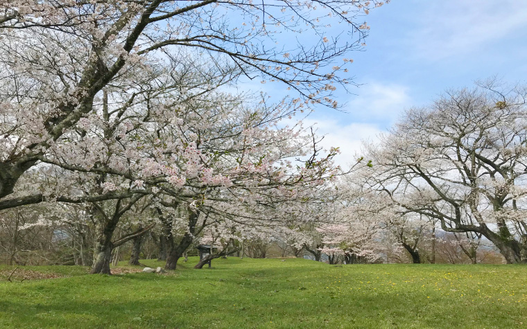 鍋倉城址（鍋倉公園）