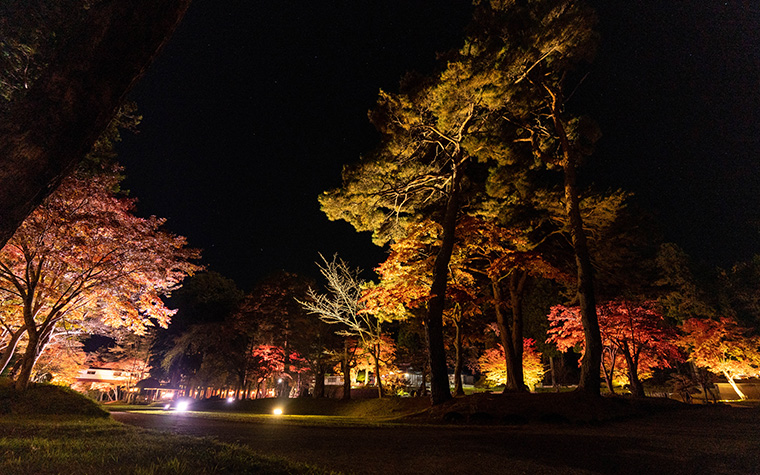 遠野郷八幡宮 紅葉ライトアップ