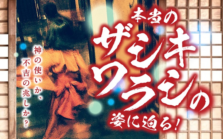 神の使いか、不吉の兆しか？本当の「ザシキワラシ」の姿に迫る！