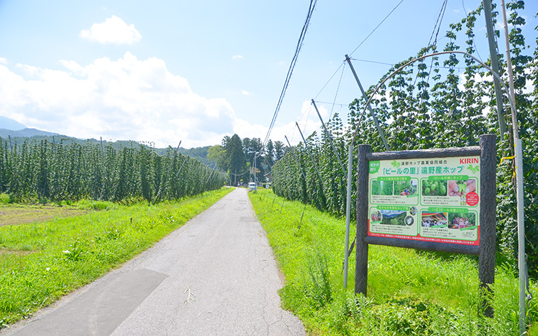 ホップの一大産地・遠野で楽しむ夏のイベント＆グルメ旅