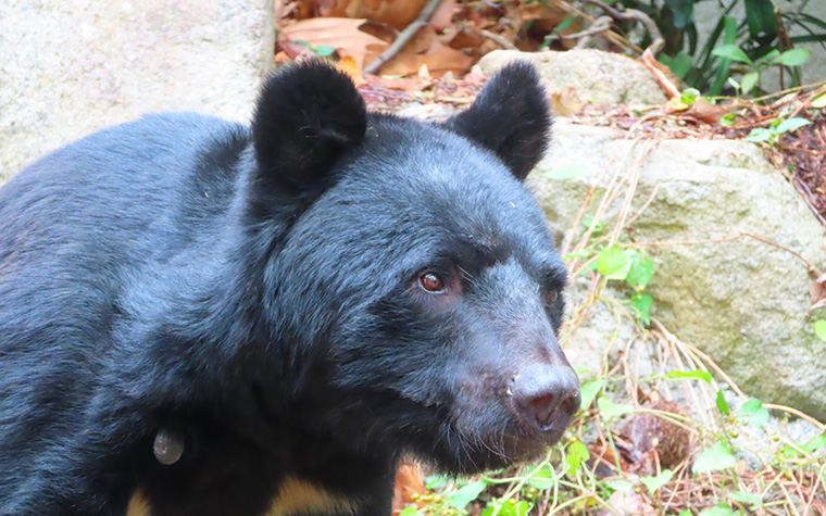 遠野旅行を安心して楽しむために