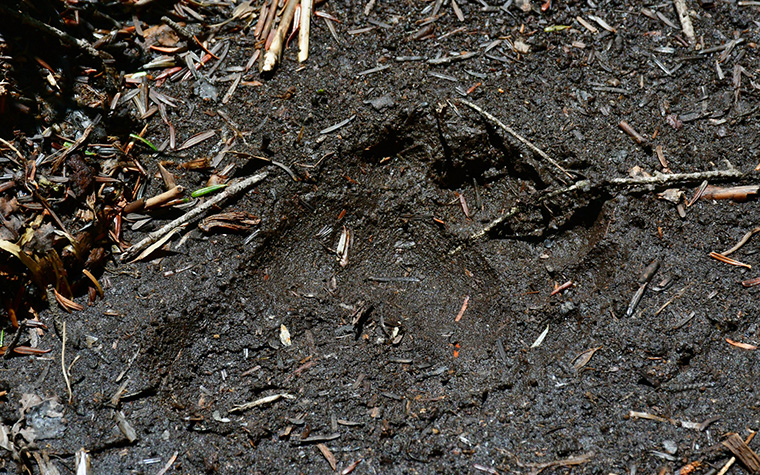 遠野旅行を安心して楽しむために
