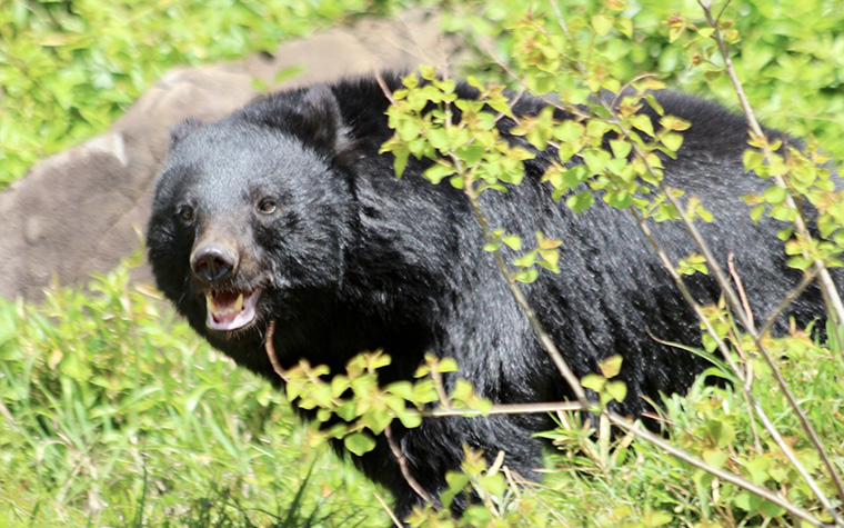 遠野旅行を安心して楽しむために