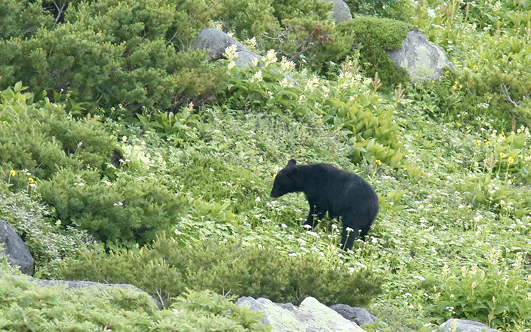 遠野旅行を安心して楽しむために