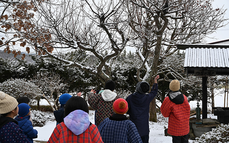 新年の遠野 ― 大正月から小正月への冬の祈り