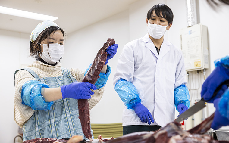 知って楽しい遠野のジビエ