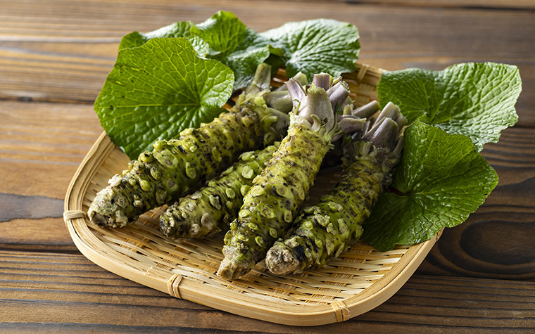 清流の極上わさびを求めて ―― 東北一の産地・遠野市宮守町で出会う「本物」の香りと物語