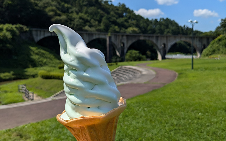 清流の極上わさびを求めて ―― 東北一の産地・遠野市宮守町で出会う「本物」の香りと物語