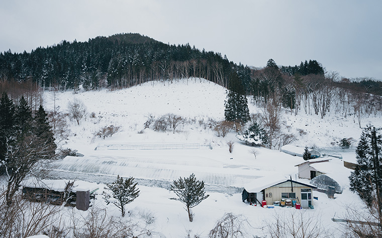 清流の極上わさびを求めて ―― 東北一の産地・遠野市宮守町で出会う「本物」の香りと物語