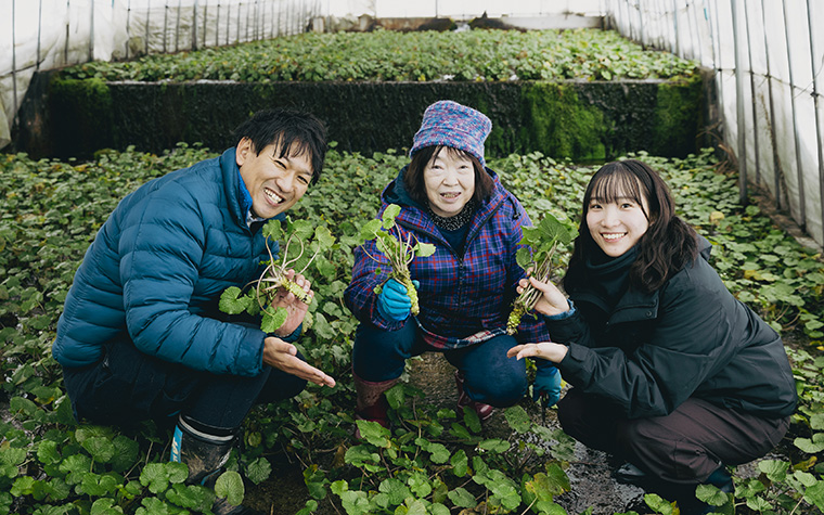 清流の極上わさびを求めて ―― 東北一の産地・遠野市宮守町で出会う「本物」の香りと物語