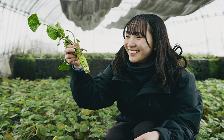 清流の極上わさびを求めて ―― 東北一の産地・遠野市宮守町で出会う「本物」の香りと物語